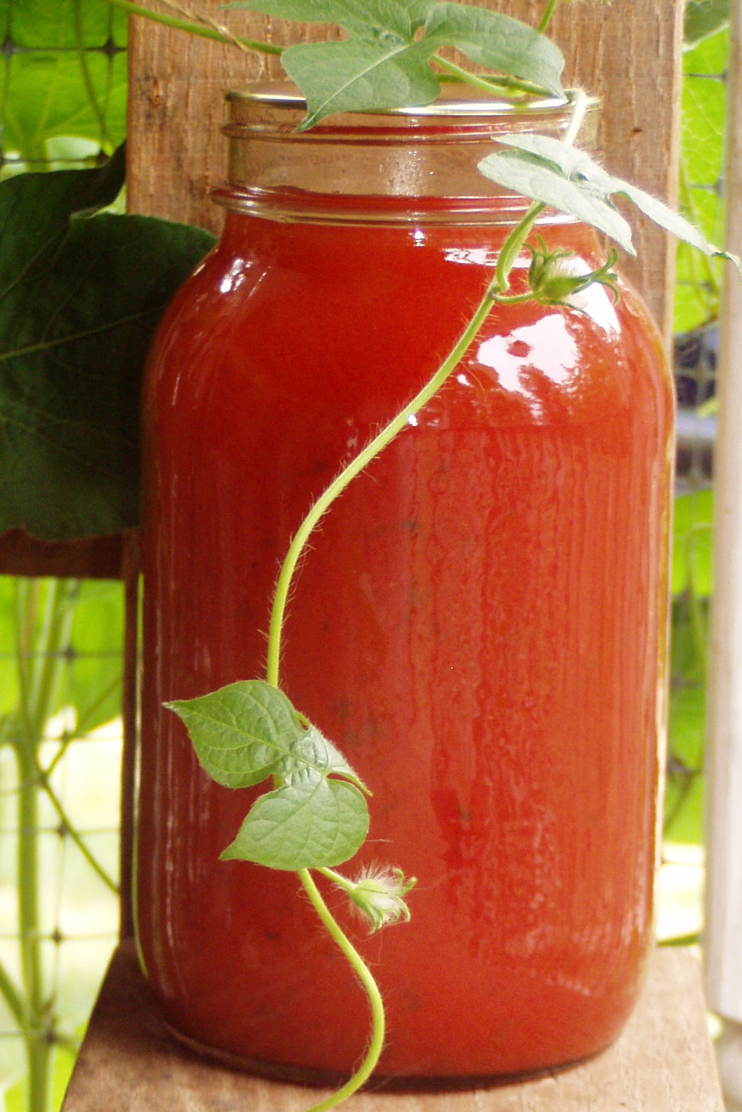 Seeds By Faith Fresh Organic Heirloom Tomato Juice