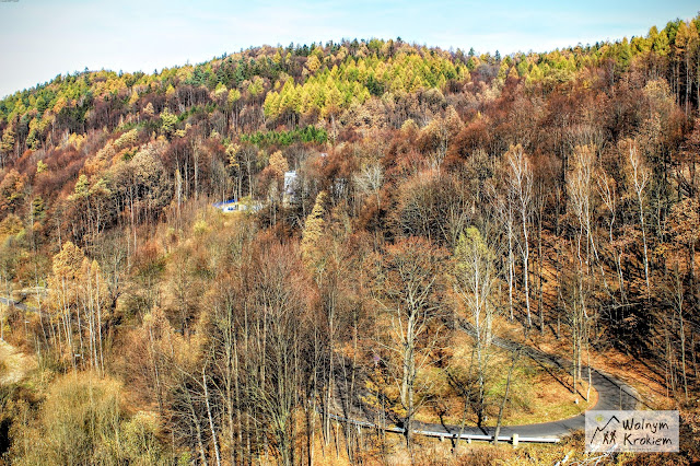 Zamek Grodno w Górach Sowich