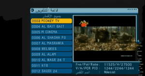 تردد قناة ميكي ماوس Mickey Channel على النايل سات 2020