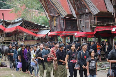 7 Facts You Should Know About Baby Graves in Toraja