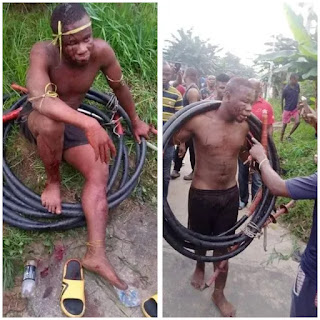 Duba abin da Yan Banga suka yi ma wani barawon wayoyin transfoma Duba abin da Yan Banga suka yi ma wani barawon wayoyin transfoma