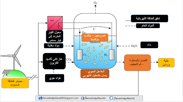 علماء ينجحون في إنتاج الطعام عن طريق الكهرباء