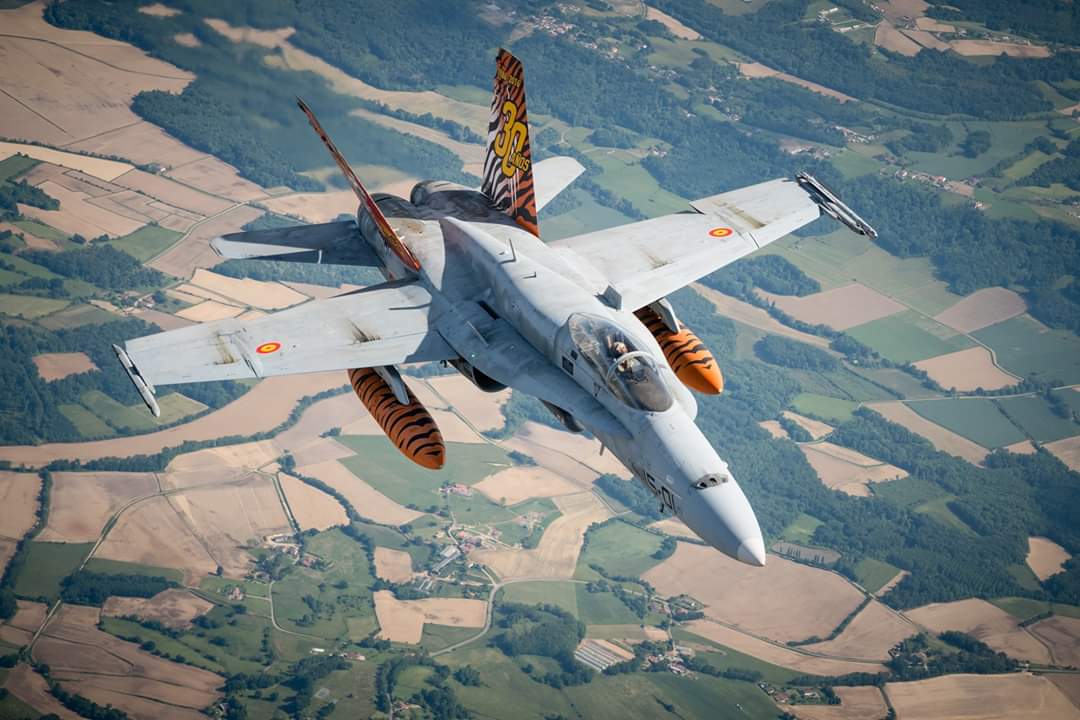 Pax Aquitania En Images Retour Sur Le Nato Tiger Meet 2019