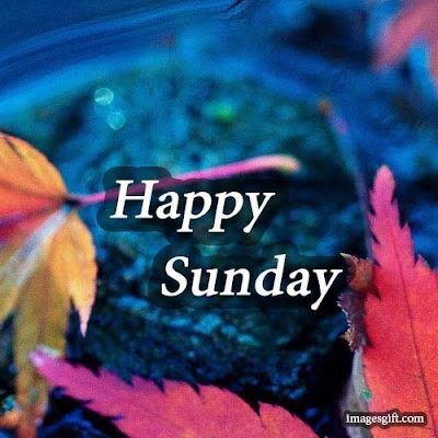 happy sunday images for lover happy sunday images for lover