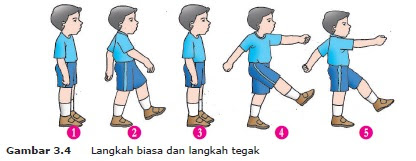Materi Pjok Pelajaran Iii Bagian 1 Variasi Gerak Dasar Jalan Lari Lompat Dan Lempar Materi Pjok Pelajaran Iii Bagian 1 Variasi Gerak Dasar Jalan Lari Lompat Dan Lempar