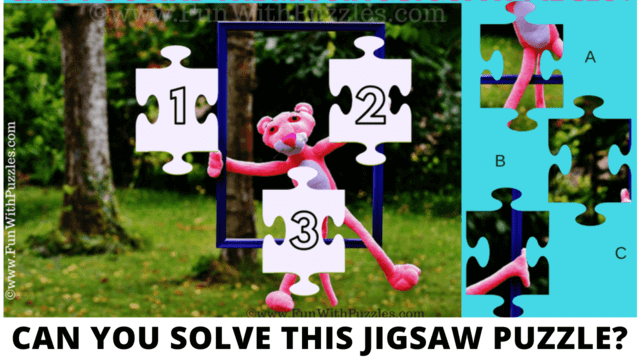 Jigsaw Picture Brain Games: Find the Missing Pieces
