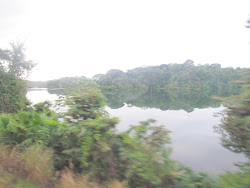 The peaceful lagoons of Gatun Lake from the line of The Panama Railway Company