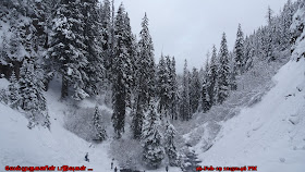 Mt. Hood National Forest in Winter