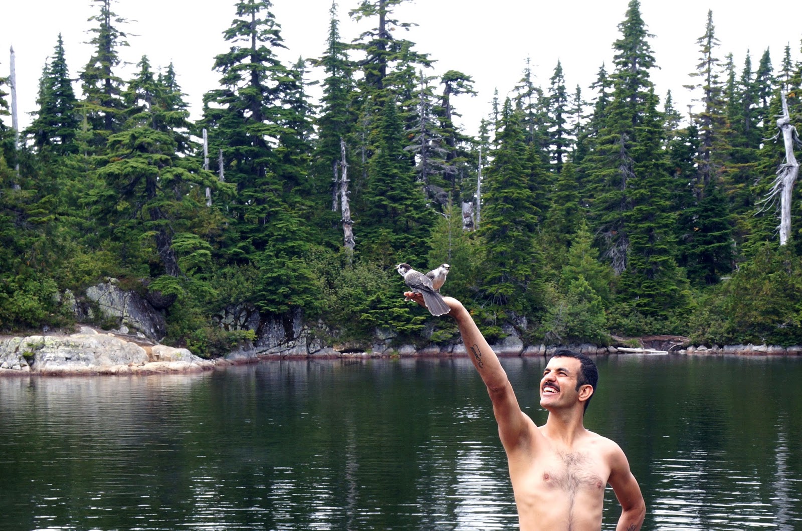Ebi Fisher Cypress Mountain Cabin Lake