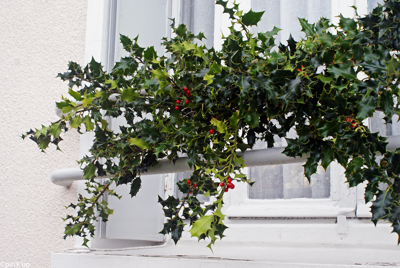 Pin'k'up [DIY] Du houx à ma fenêtre