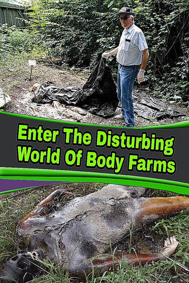 Enter The Disturbing World Of Body Farms