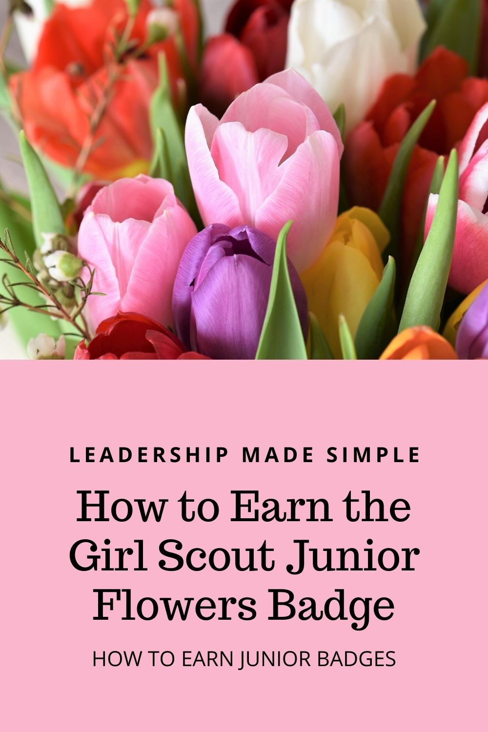 How to Earn Junior Girl Scout Badges How to Earn the Girl Scout Junior