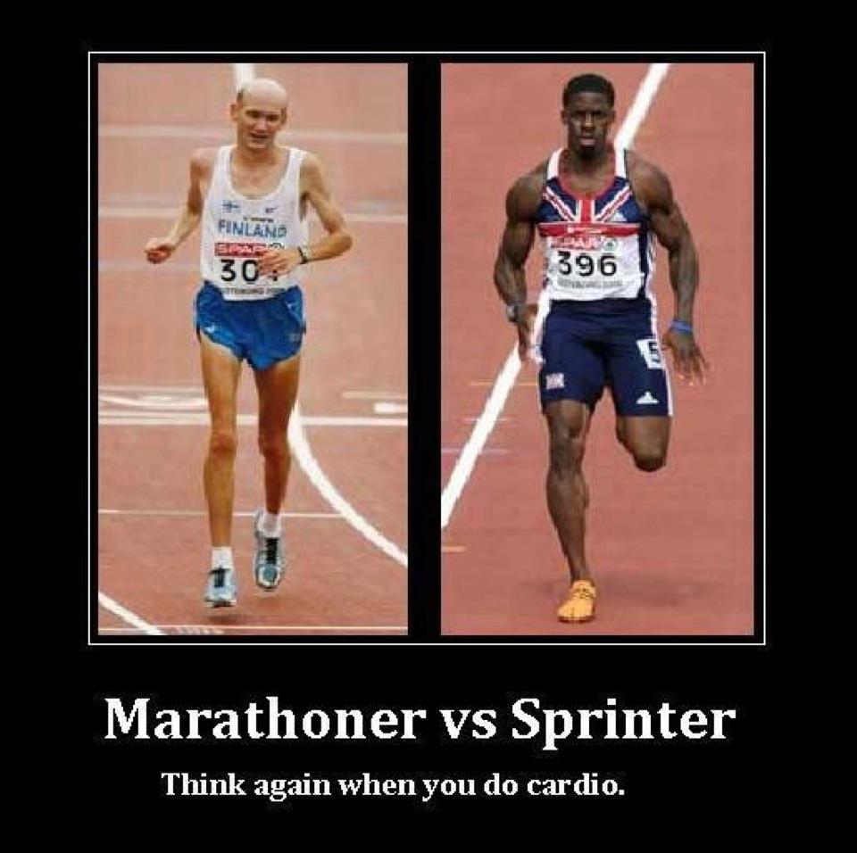 Спринтер и стайер. Спринтер и марафонец. Фигура спринтера и марафонца. Сравнение спринтера и марафонца. Спринтер против марафонца.