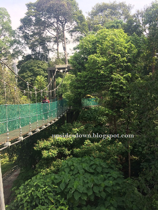 BELOG NANIEY: TAMAN EKO RIMBA BUKIT NENAS KUALA LUMPUR!