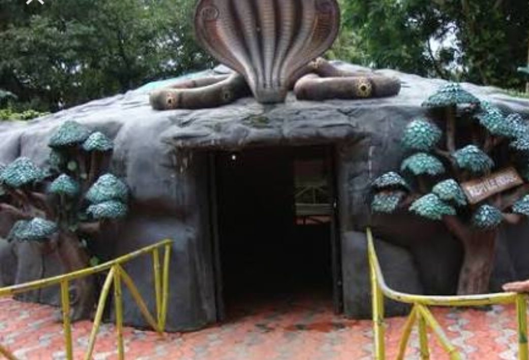Thiruvananthapuram Zoo is one of the oldest zoos in India T4riders