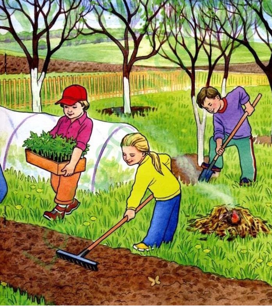 Рабочий лист природные богатства и труд людей. Труд детей на огороде. Труд в огороде весной. Труд весной для дошкольников. Весенние работы для детей.