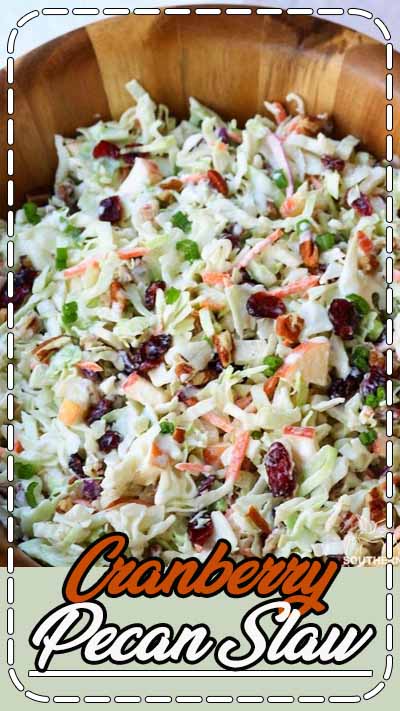 Take your coleslaw to a whole new level with sweet, tangy cranberries and crunchy pecans. Mix in an apple and some savory, green onions then toss them all in a creamy dressing for a dish that will be a favorite at any gathering! For years I’ve loved this crunchy slaw. I’ve eaten it at church