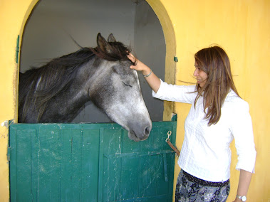 Moment inoubliable avec un cheval du Haras :)