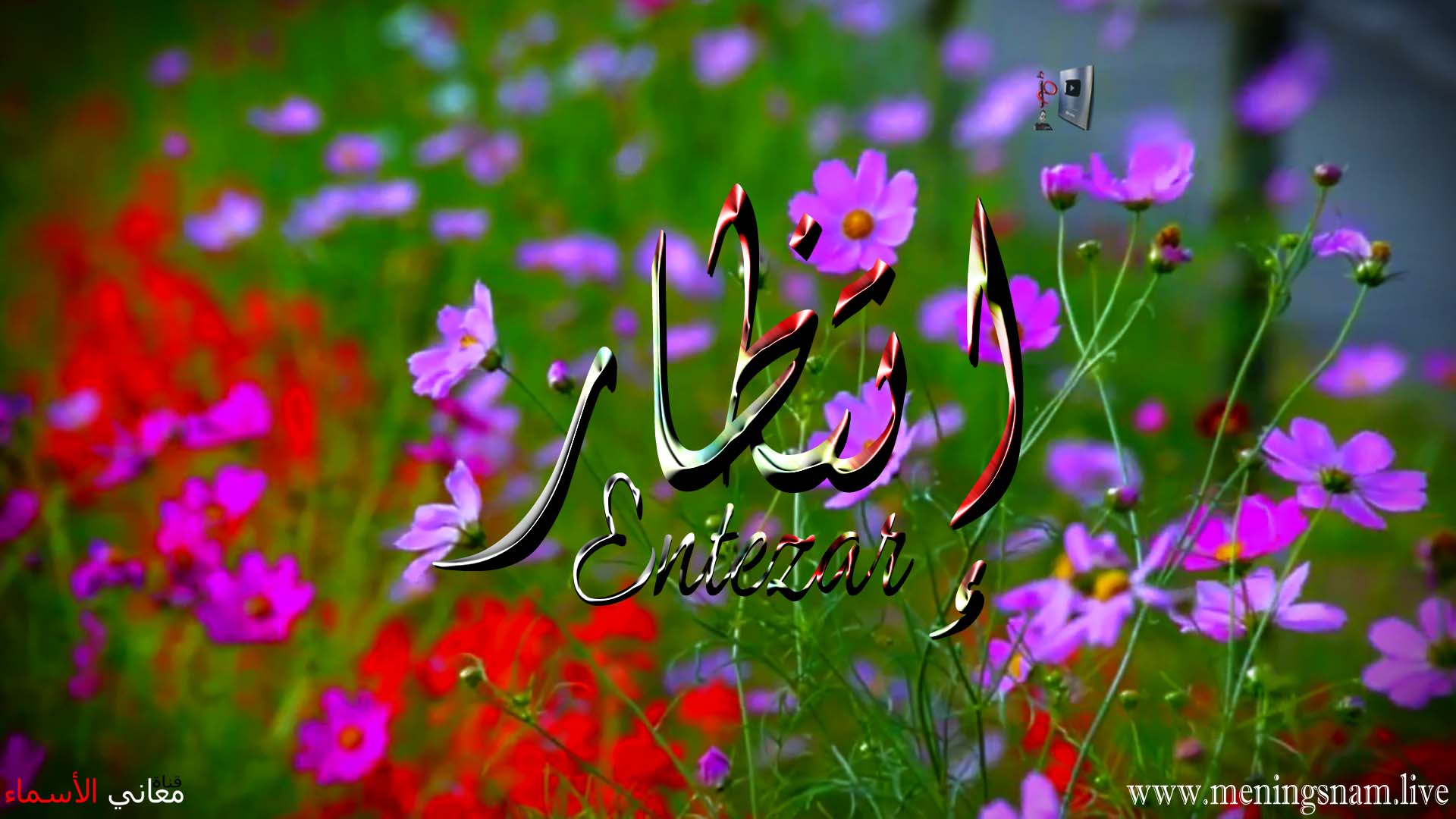 معنى اسم انتظار وصفات حاملة هذا الاسم Entezar معاني الأسماء ومعاني الكلمات وتفسير القرآن الكريم