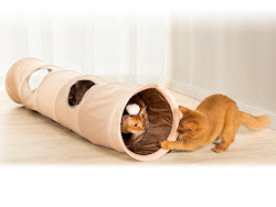 cat zoofari tunnel lidl