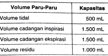Perhatikan Data Volume Udara Pernapasan Berikut Berdasarkan Data Tersebut Kapasitas Vital Mas Dayat Perhatikan Data Volume Udara Pernapasan Berikut Berdasarkan Data Tersebut Kapasitas Vital Mas Dayat