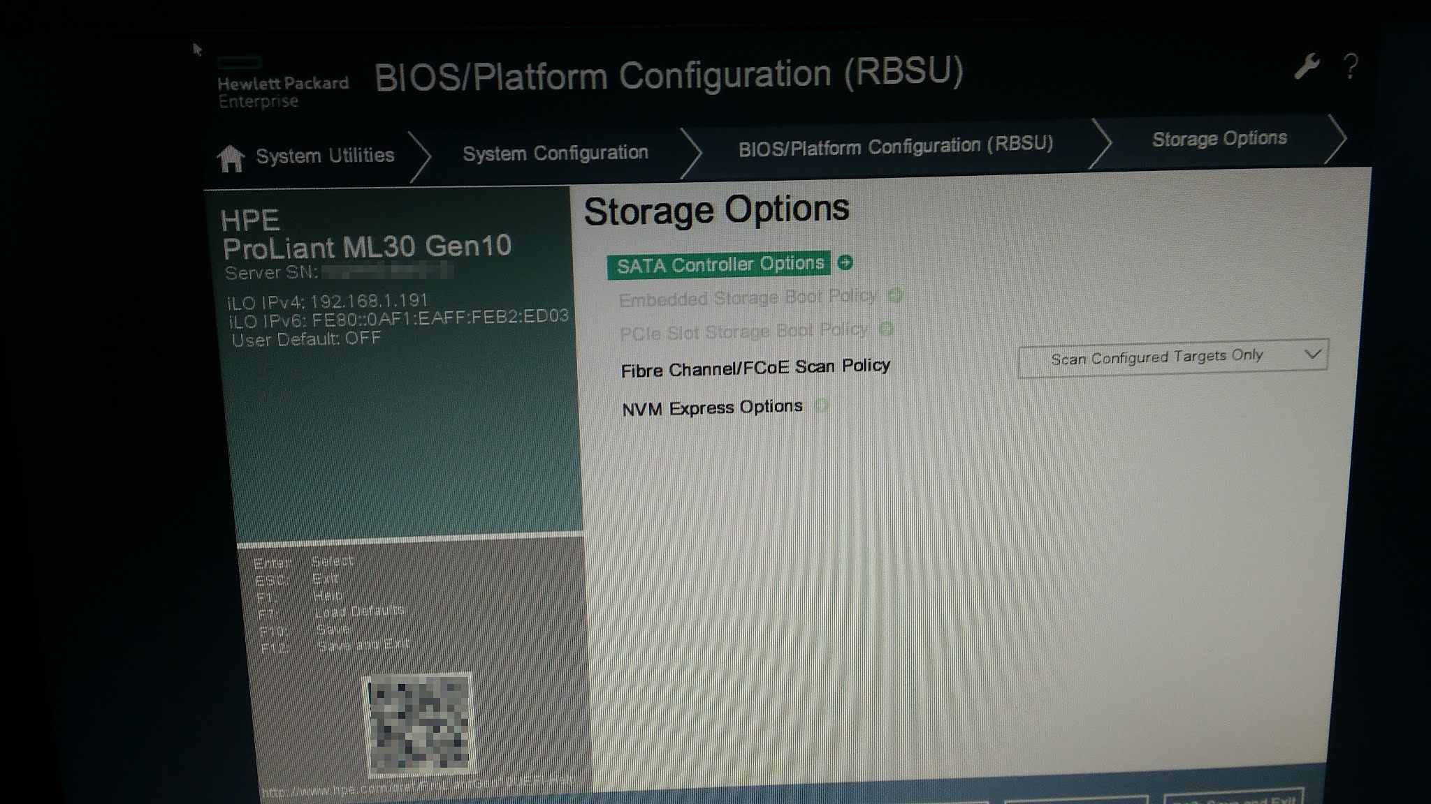Cara Seting RAID 1 di BIOS HPE ProLiant ML30 Gen10 Sebardi Blog