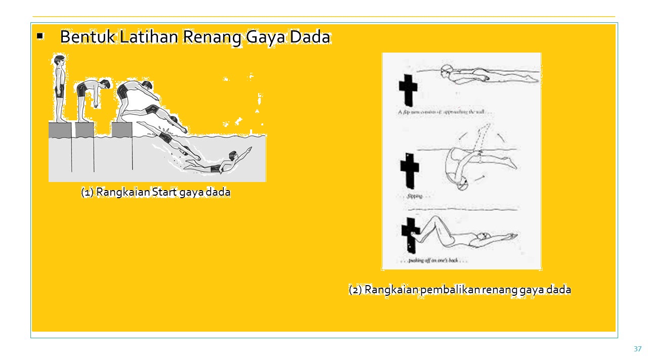Renang Gaya Dada Bacaki Id