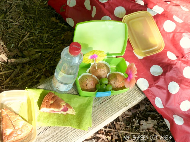 3 Easy Steps to Turn Any Kids Outdoors Activity Into a Fun Adventure