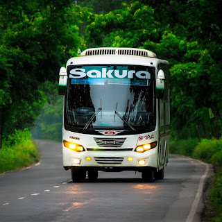 Sakura Paribahan Bus : Ticket Price Counter Number And More Details With Online Ticket Help