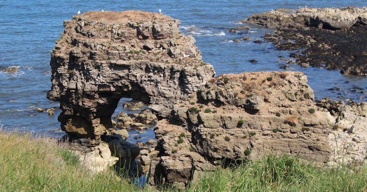 Wild Flowers, Sea Arches and Lighthouses 300 million years in three miles at Whitburn