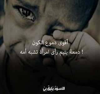 shof_a165739863d4a2f