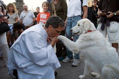 4 de outubro - Dia de São Francisco de Assis