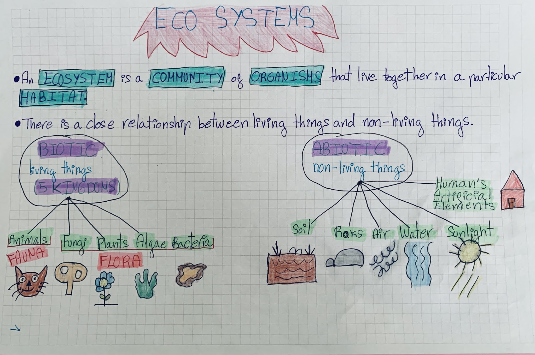 MY CLASS AND MORE NATURAL SCIENCE ECOSYSTEMS