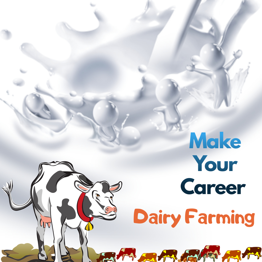 A career in dairy farming for the Unemployed, with new government