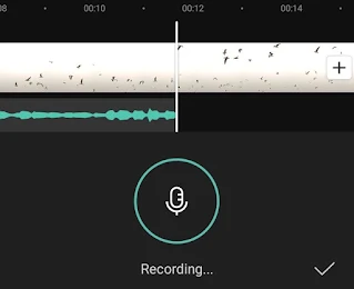 how to voiceover in capcut