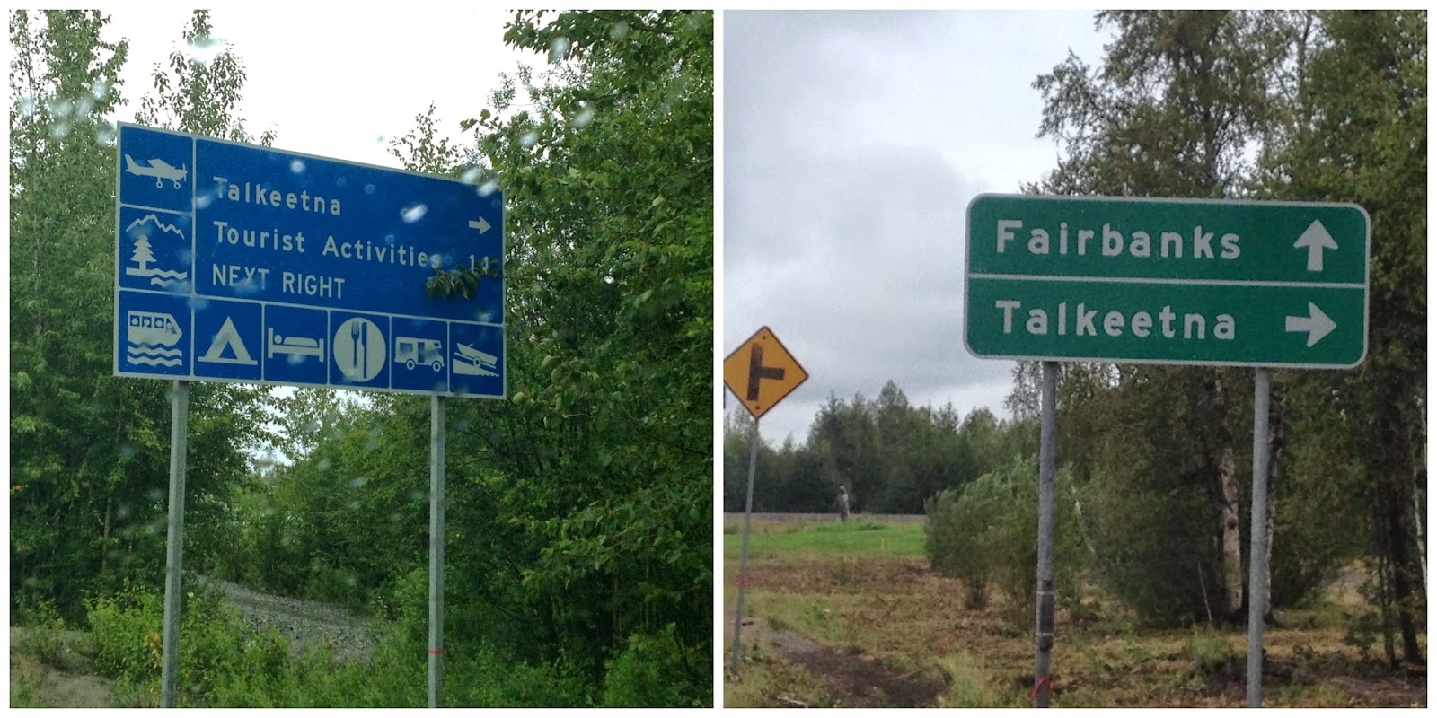 The Baked Alaska Project Ziplining in Talkeetna