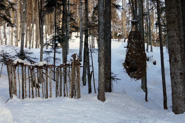 il respiro degli alberi