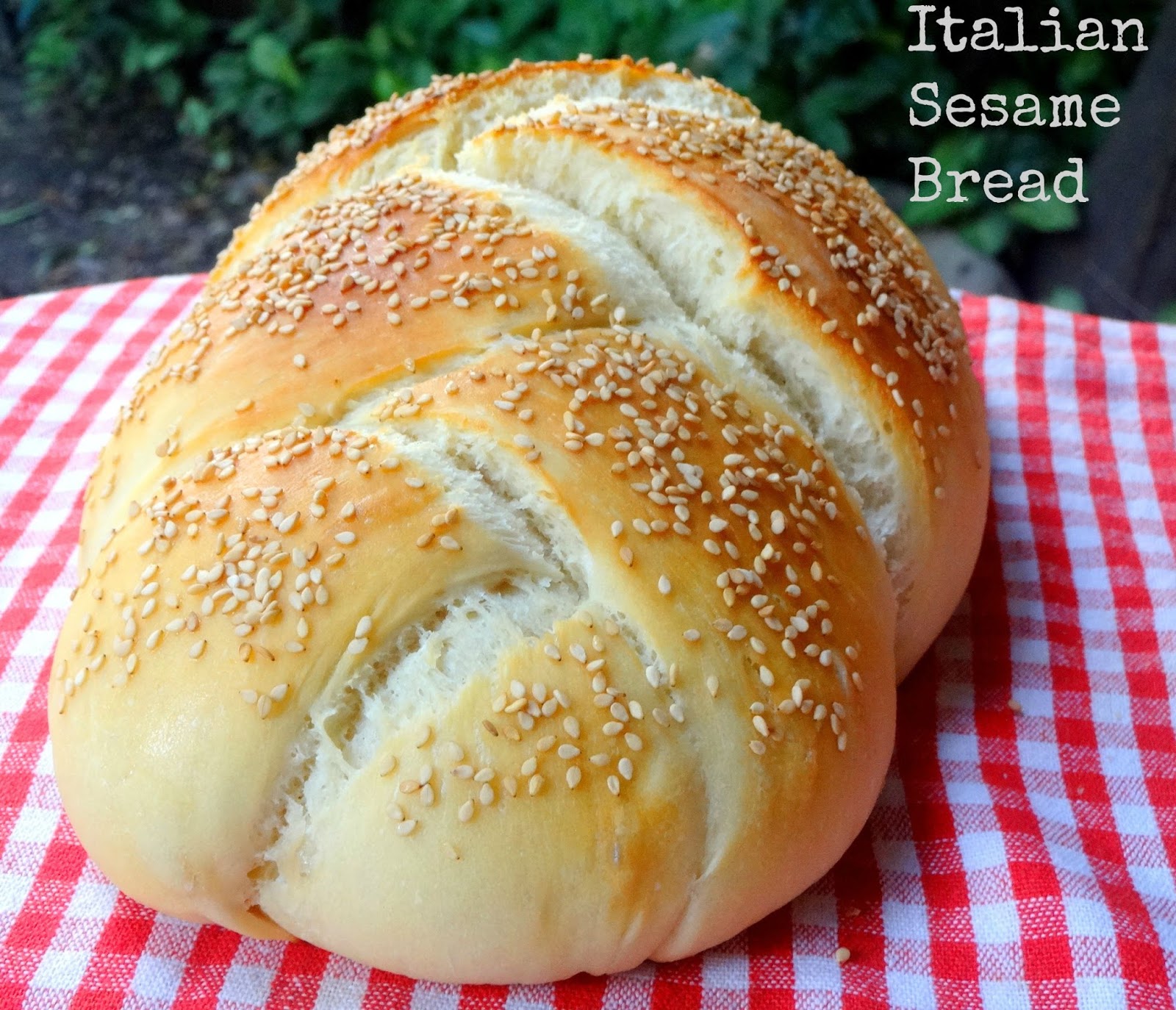 Italian Sesame Bread (Vegan) | Ambrosia