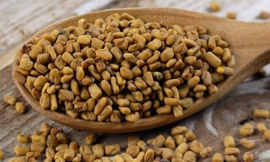 رجيم الحلبة