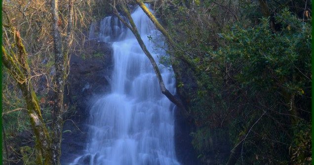 XOAN ARCO DA VELLA FERVENZA DE CODESO CODESO