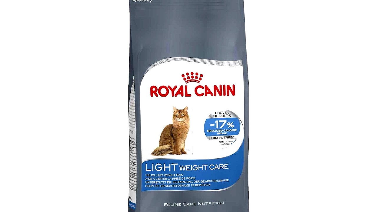 Weight Gain Cat Food Cat Choices