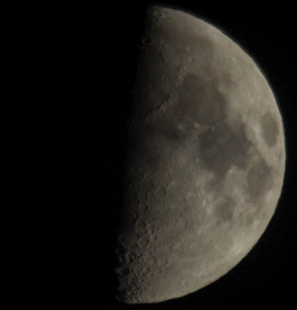 Birds of the Heath Two bright lights in the twilight sky!
