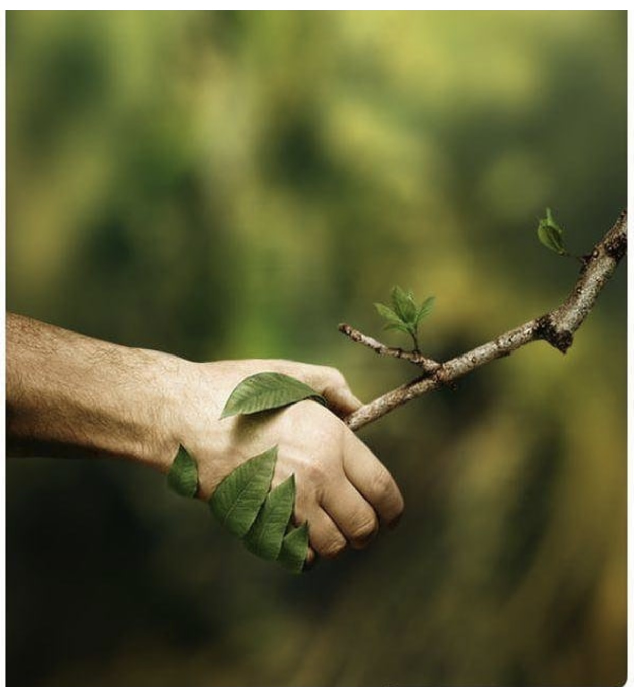 What nature friendly. эко природа. экология защита природы. окружающая среда. Environmental stewardship.