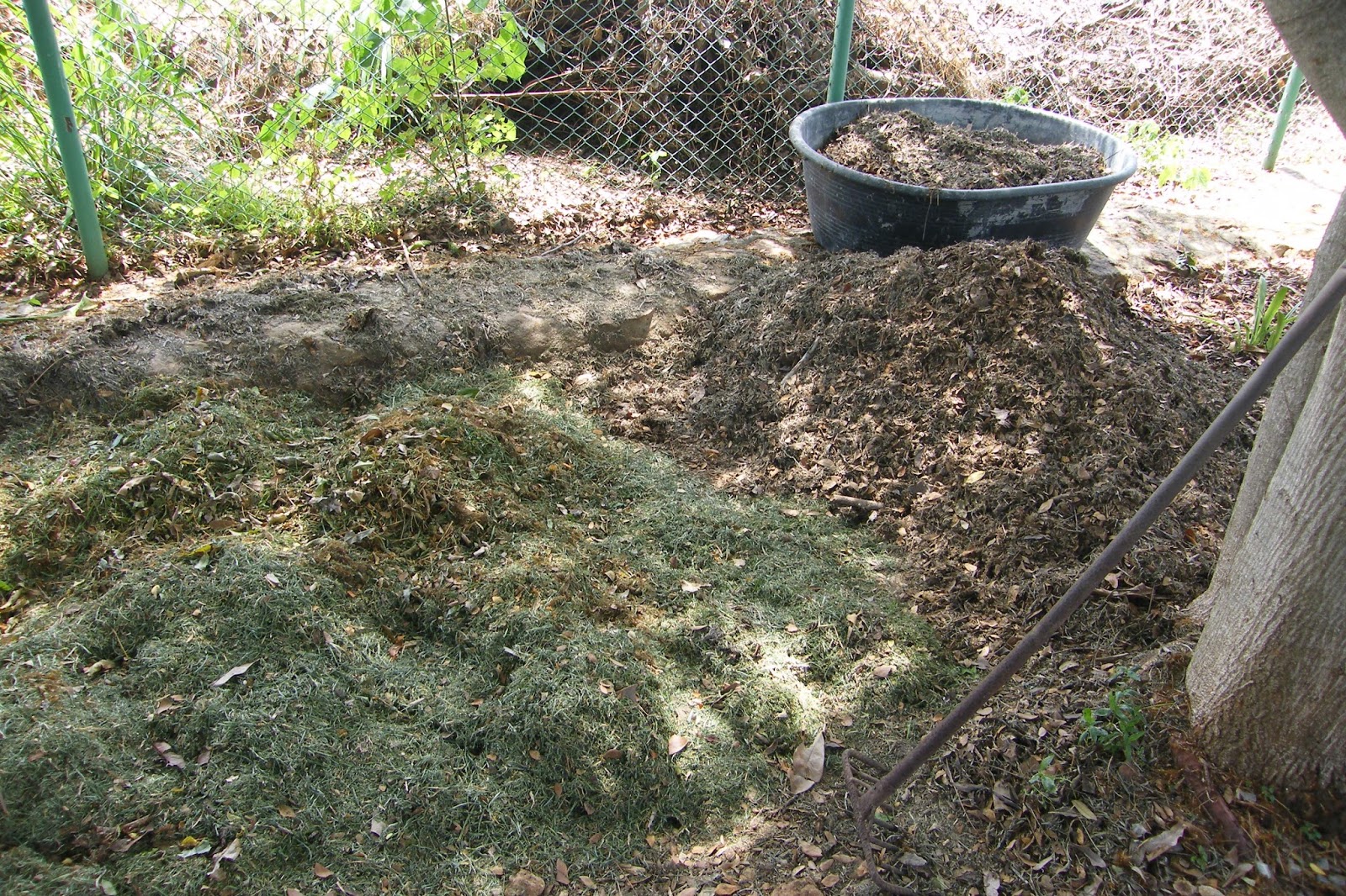 ThailandPakchong Beobachtungen und Erfahrungen Thailand Humus für