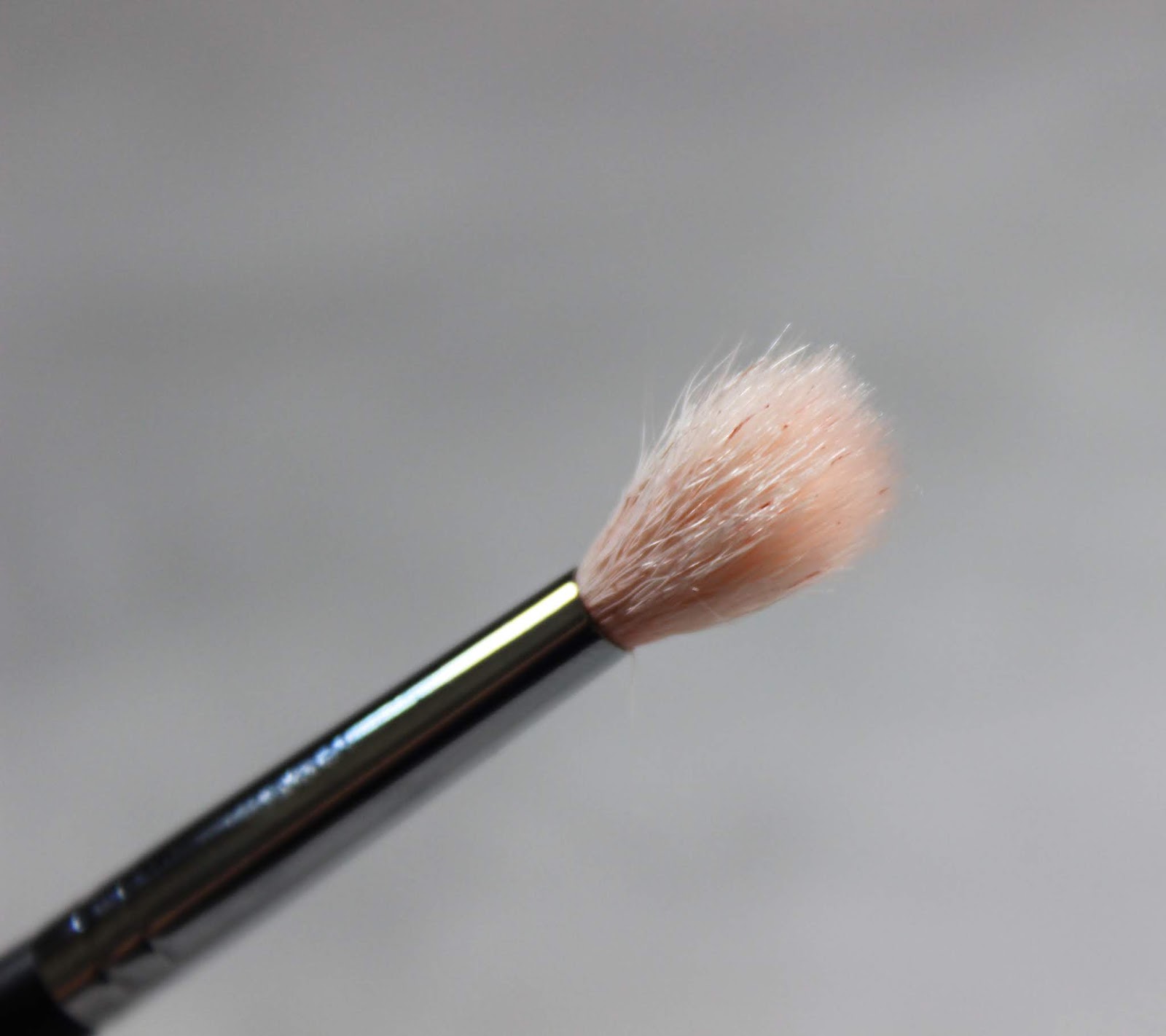 Sigma Brushes vs. Morphe Brushes Dupes? Hannah Ra