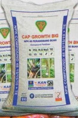 CAP GROWTH BIG NPK COMPOUND 48 PERANGSANG BUAH