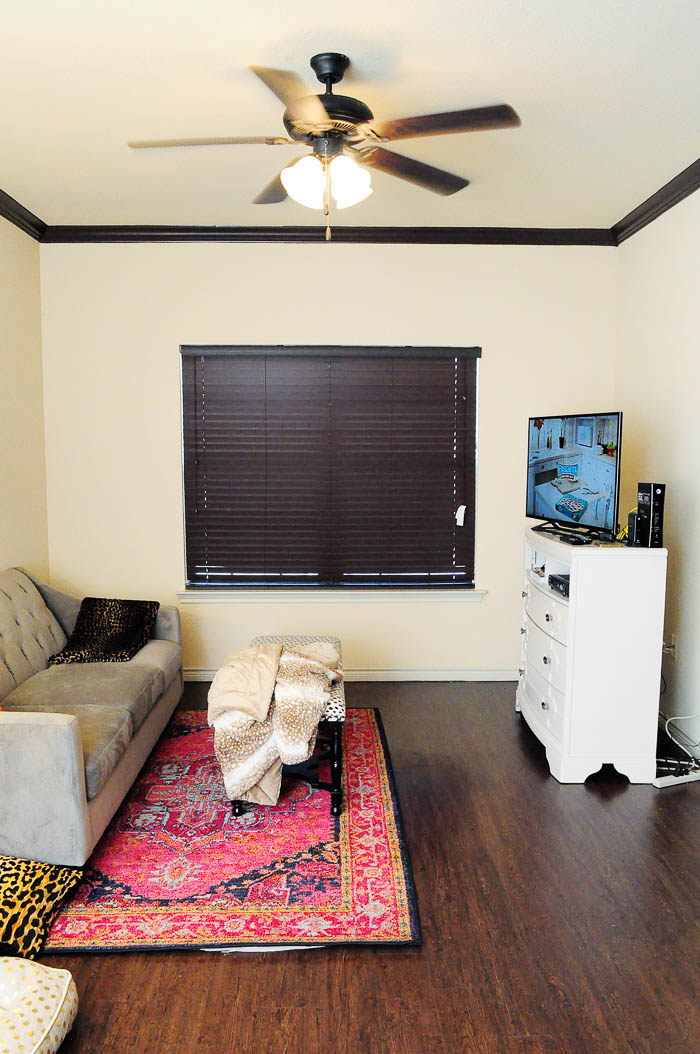 Decorating an Apartment Living Room | Monica Wants It