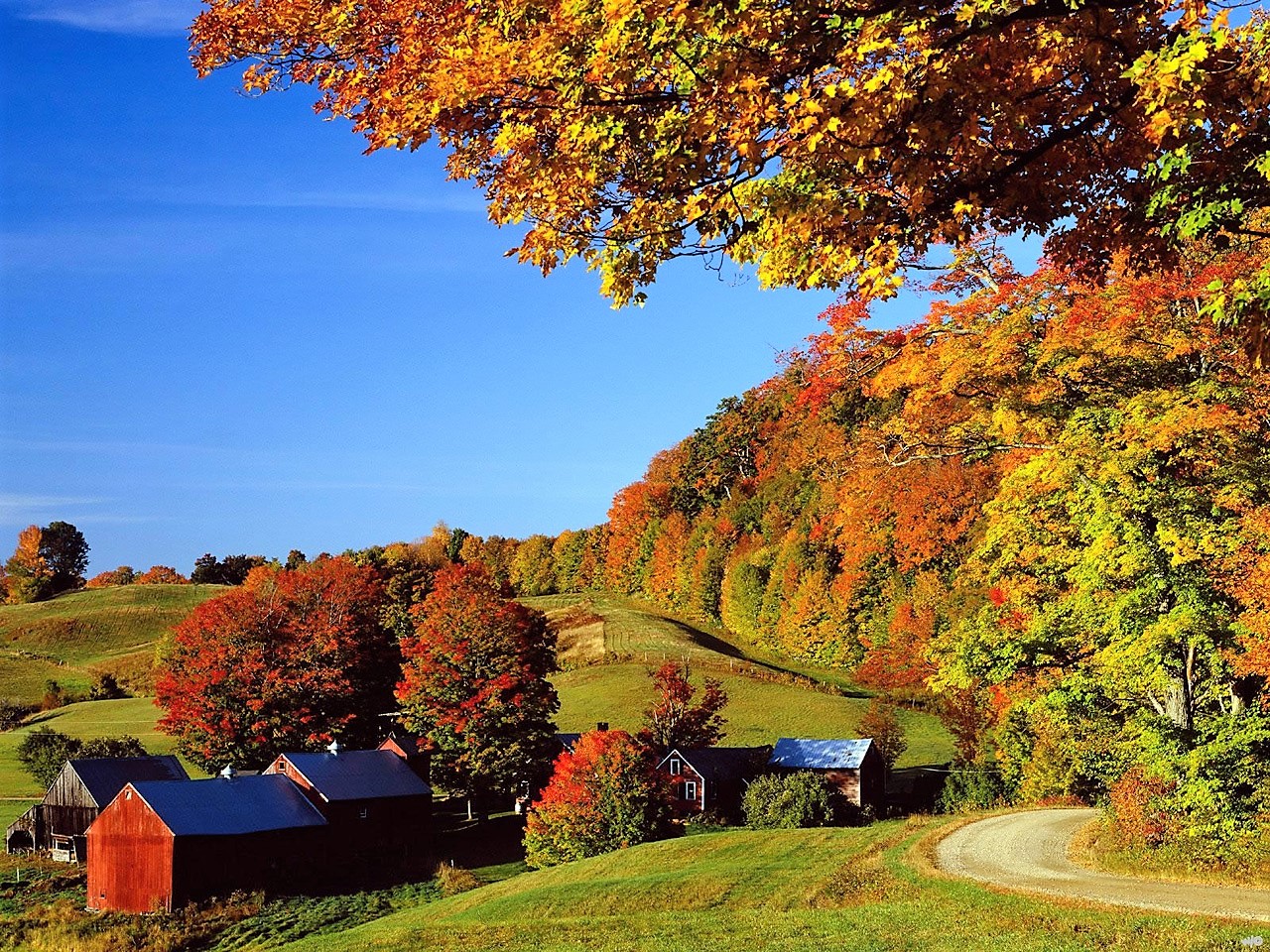Northern Vermont in Autumn