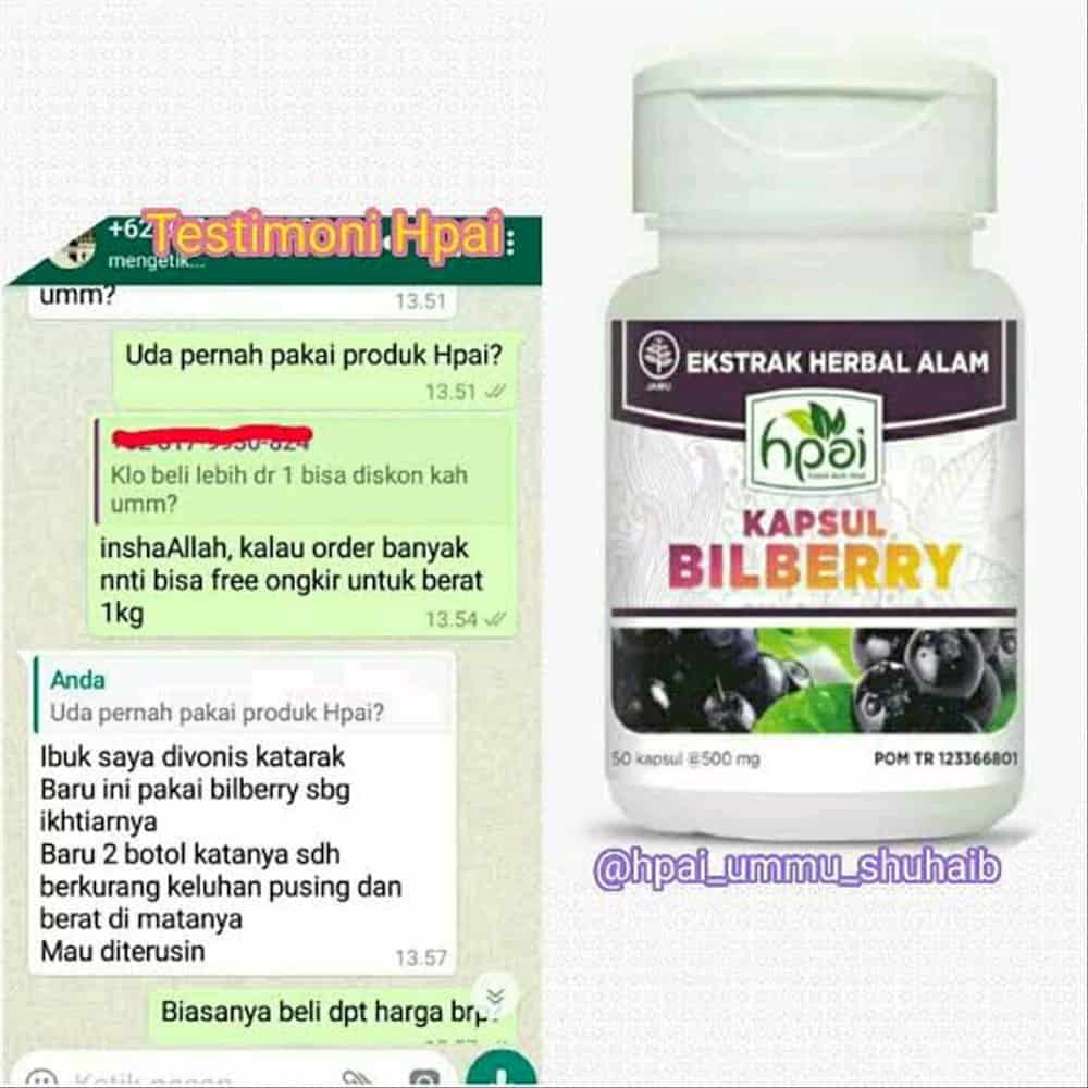 Kapsul Bilberry Hpai Nutrisi Suplemen Mata Minus Lelah Rabun Herbal