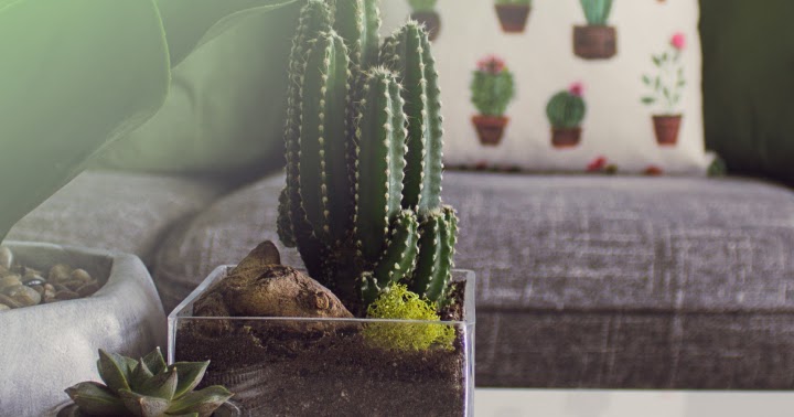 Planet Neuroscientists